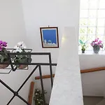 فيلة Monambeles سفوروناتا